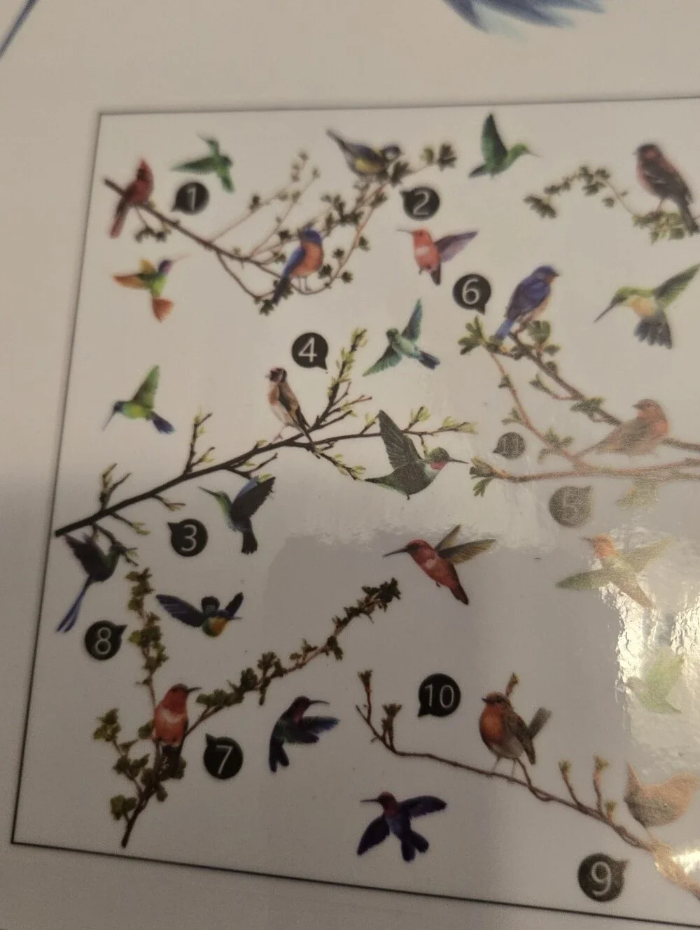 Bird & Branch Vinyl Window Clings Reusable No Adhesive